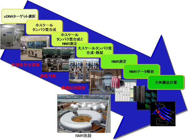 理化学研究所 横浜研究所 NMR パイプライン概略